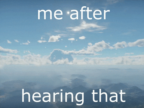 Mirage 2000 Wt GIF