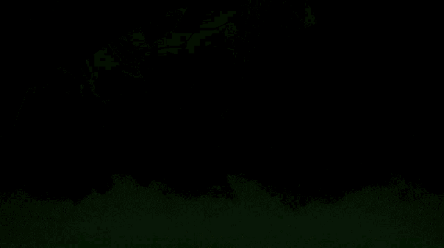 Miss Kobayashis Dragon Maid Tohru GIF