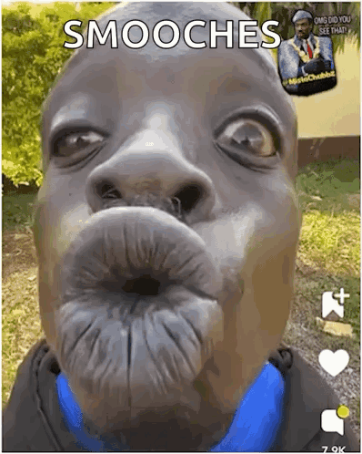 Miss You Kiss GIF