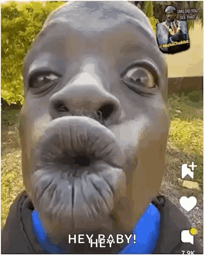 Miss You Kiss GIF