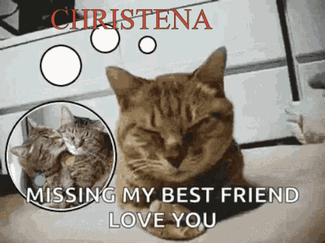 Missing My Best Friend Love You GIF