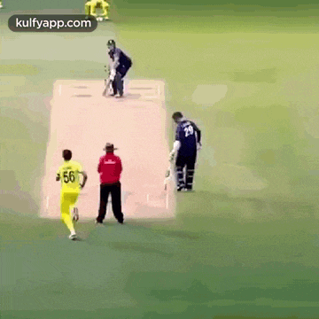 Mitchell Starc Sparkling Yorkers.Gif GIF