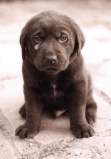 Mitoo Mitoo2025 GIF