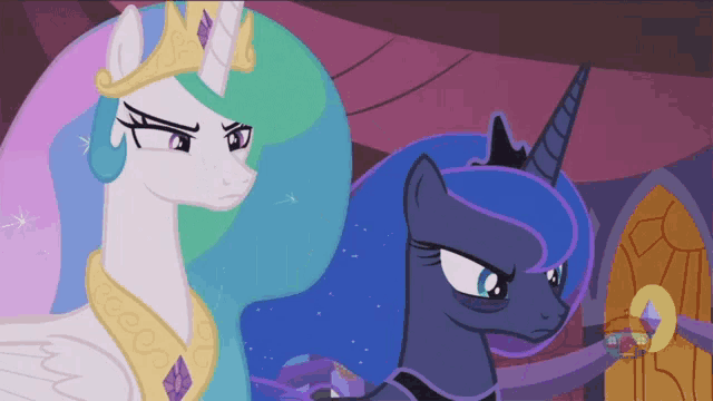 Mlp What GIF