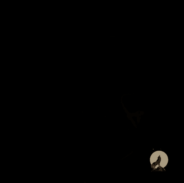 Mma Khabib GIF