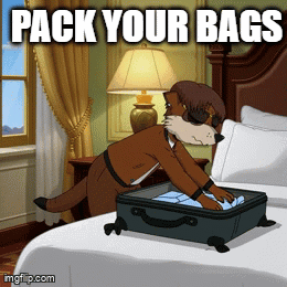 Mmcc Meerkat GIF