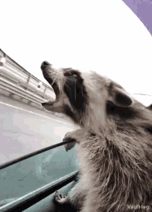 Mmm Missed Token GIF
