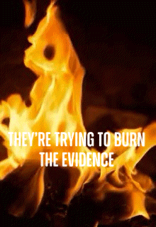 Mmtlp Fraud GIF