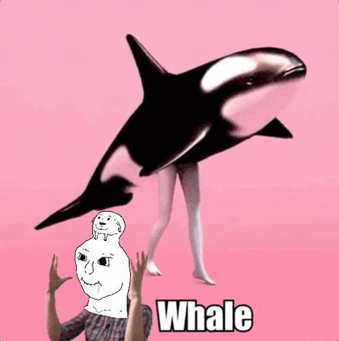 Mnewbis GIF