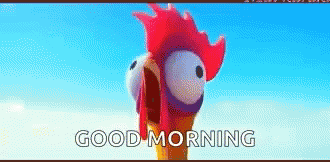 Moana Chicken GIF. This 330 x 162 animated GIF is part of our hei hei moana collection. Related themes include chicken, scared, screaming. Created by…