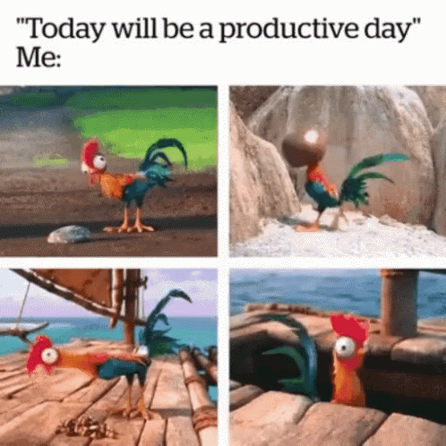 Moana Chicken GIF. This 498 x 498 animated GIF is part of our hei hei moana collection. Related themes include chicken, funny. Created by el_snorklu. View…