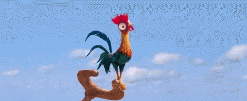 Moana Chicken GIF. This 480 x 198 animated GIF is part of our hei hei moana collection. Related themes include chicken. Created by wesselvb. View the…