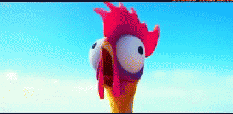 Moana Chicken GIF. This 330 x 162 animated GIF is part of our hei hei moana collection. Related themes include chicken, scared, screaming. Created by…