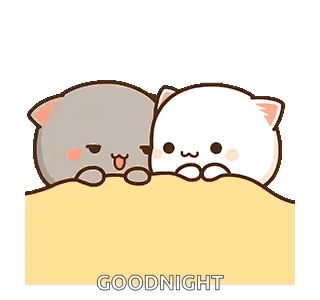 Mochi Cat Adult GIF