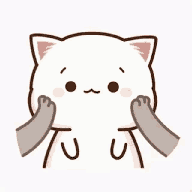 Mochi Cat GIF