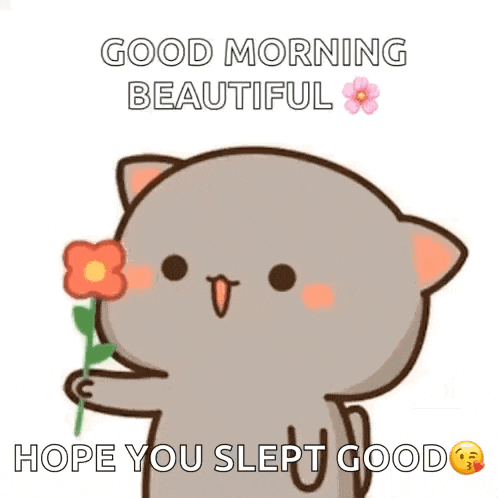 Mochi Cat GIF