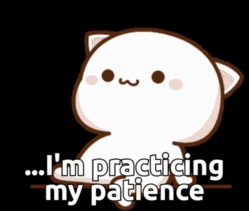 Mochi Waiting Patience GIF