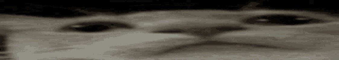 Modcheck Gato Kitty Suspicious Looking Funny By402 GIF