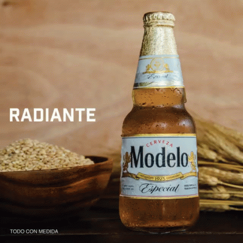 Modelo Beer GIF. This 498 x 498 animated GIF is part of our cerveza corona collection. Related themes include beer. Created by ThisGuyFawkes. View the…