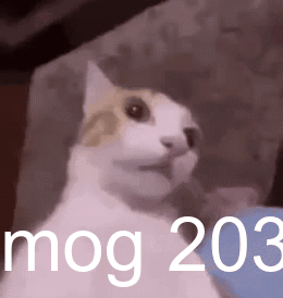 Mog 203 Suprised Cat GIF