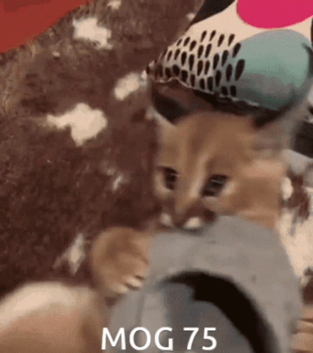 Mog75 Mogambo Khush Hua GIF. This 441 x 498 animated GIF is part of our mogambo khush hua collection. Related themes include cat. Created by Samvert. View…
