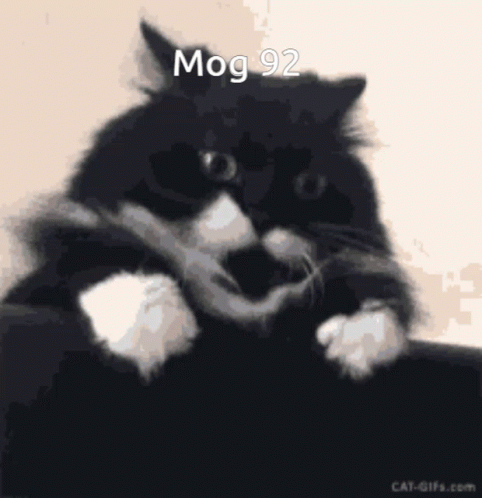 Mog92 Mogambo Khush Hua GIF. This 482 x 498 animated GIF is part of our mogambo khush hua collection. Related themes include cat. Created by Jaggy3227. View…
