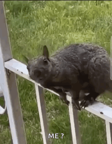 Moi Me GIF