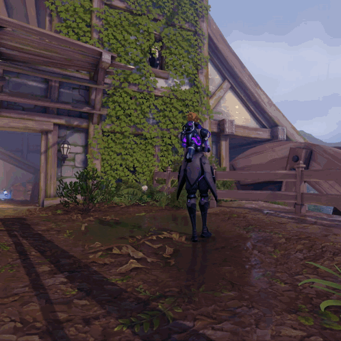 Moira Bastion GIF