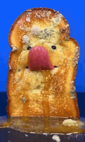 Moldy French Toast Lick GIF