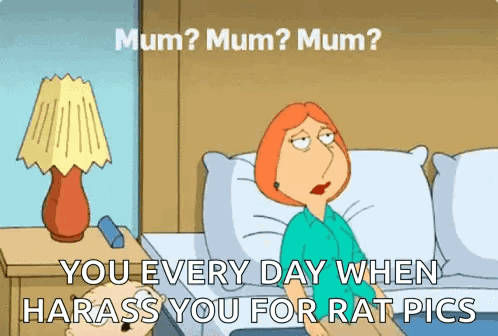 Mom Happy Birthday Mom GIF. This 498 x 336 animated GIF is part of our stewie hi collection. Related themes include happy birthday funny, happy birthday…