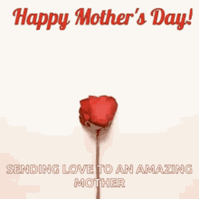 Mom Mothers GIF
