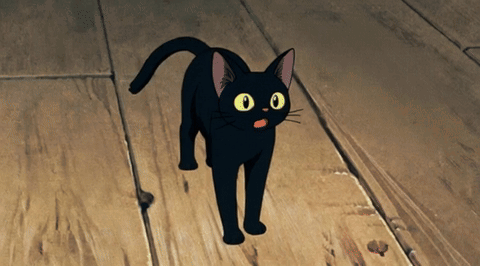 Momiji Momiji Cat GIF