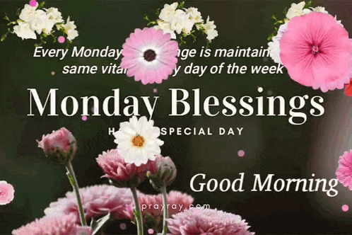 Monday Blessings GIF