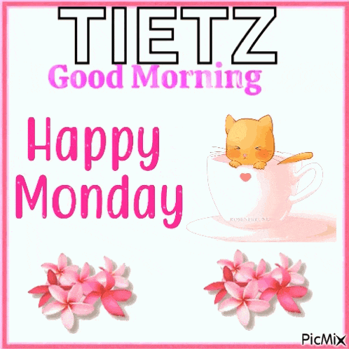 Monday GIF