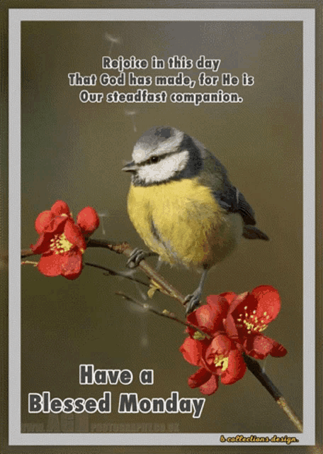 Monday Good GIF