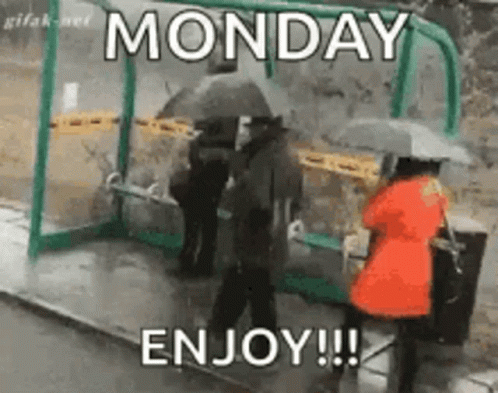 Monday Good GIF