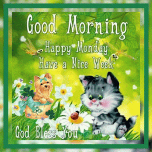 Monday Happy GIF. This 498 x 498 animated GIF is part of our montag morgen collection. Related themes include happy, monday. Created by beata0332. View the…