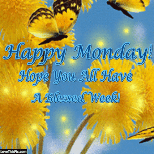 Monday GIF. This 498 x 498 animated GIF is part of our montag morgen collection. Related themes include monday. Created by sobronxjourno. View the original…