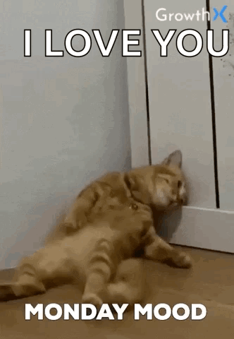 Monday Mood GIF. This 332 x 480 animated GIF is part of our lustige freitags bilder collection. Created by 13Beast. View the original animation, share it…