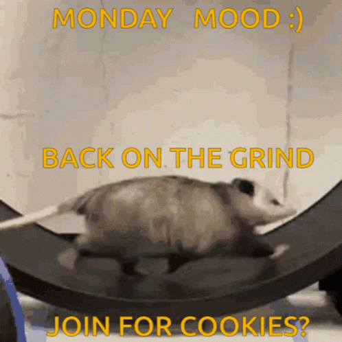 Monday Mood GIF