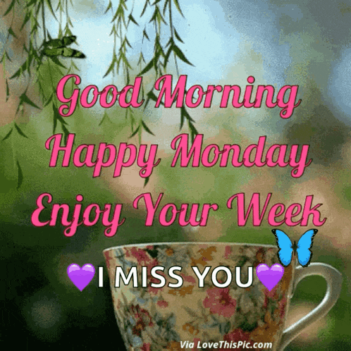 Monday Morning GIF