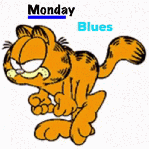 Monday Morning GIF