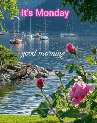 Monday Morning GIF