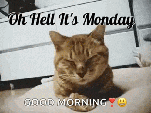Monday Oh Hell Its Monday GIF