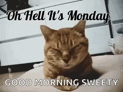 Monday Oh Hell Its Monday GIF