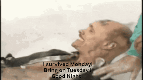 Monday Survival Is Real Goodnight GIF. This 480 x 268 animated GIF is part of our fire marshall bill collection. Related themes include goodnight, monday…