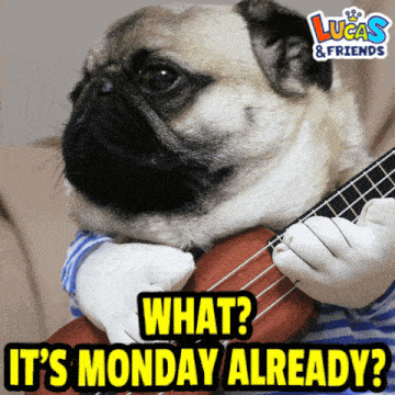 Mondays Monday Already GIF