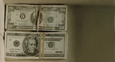 Money Dollar Bills GIF