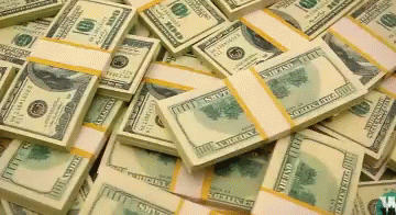 Money Dollars GIF