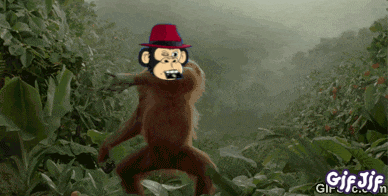 Money Minded Apes Mmaxrp GIF